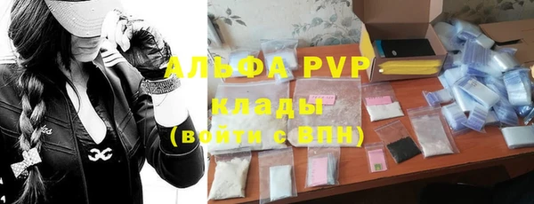 стаф Алексин