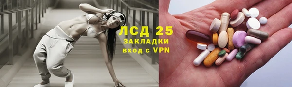 стаф Алексин
