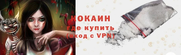 индика Наволоки