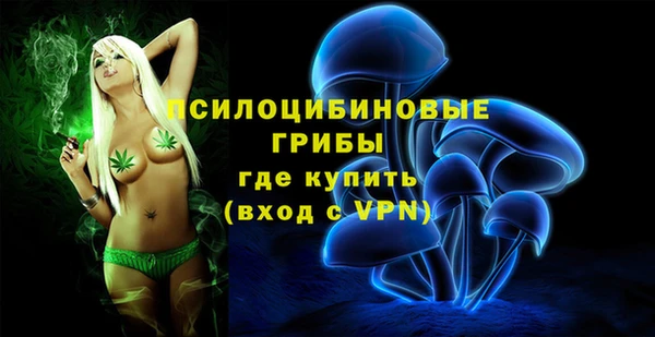 героин Абаза