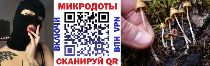 купить   Сарапул  Галлюциногенные грибы MAGIC MUSHROOMS 