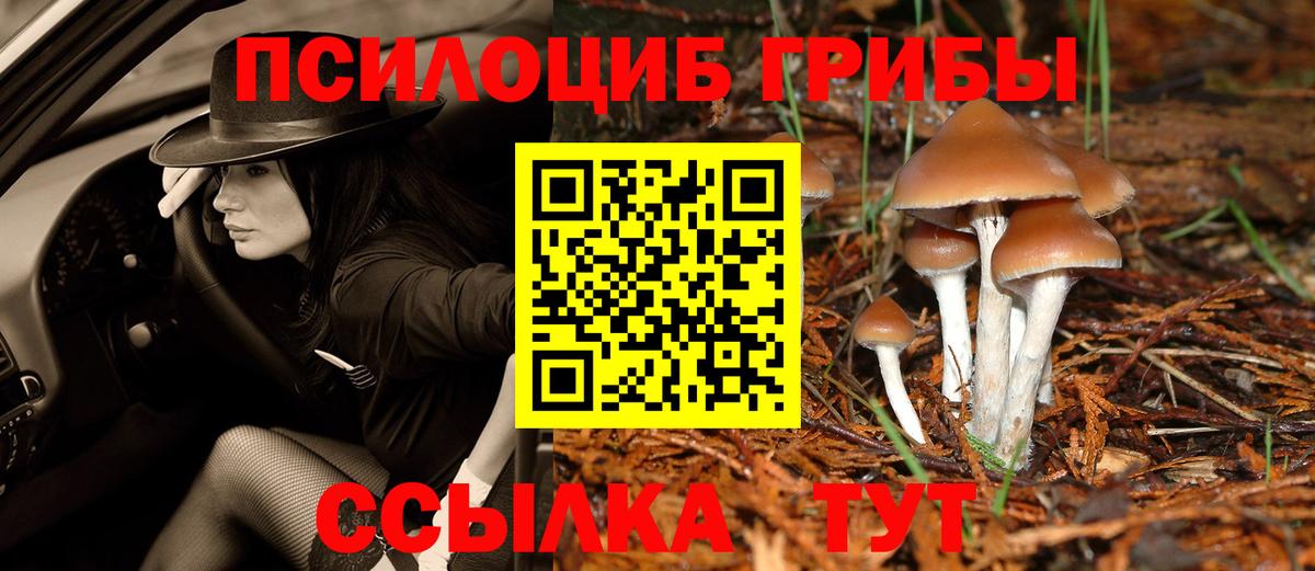 Сарапул  Галлюциногенные грибы MAGIC MUSHROOMS  Вход с VPN 